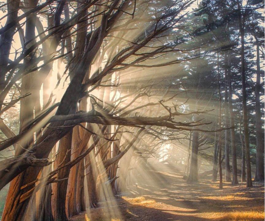 Photo of Others in Montara