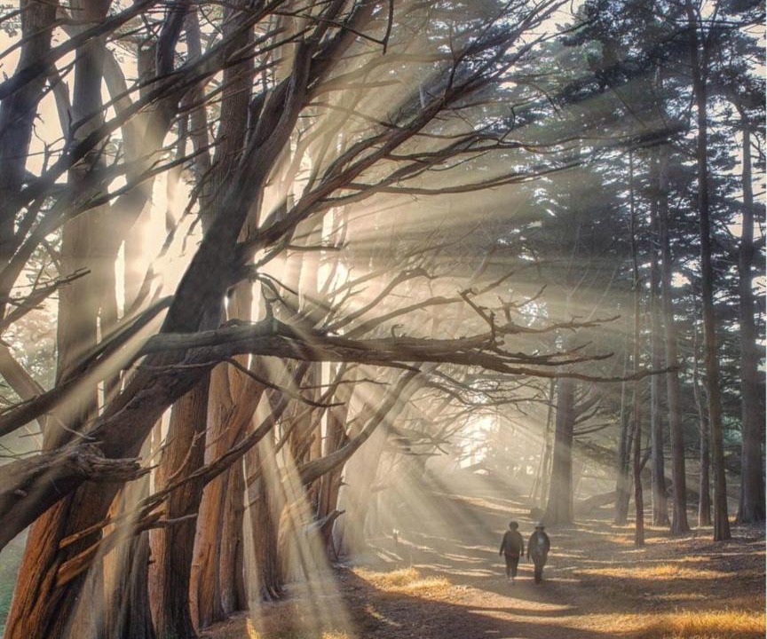 Photo of Human In Picture in Montara