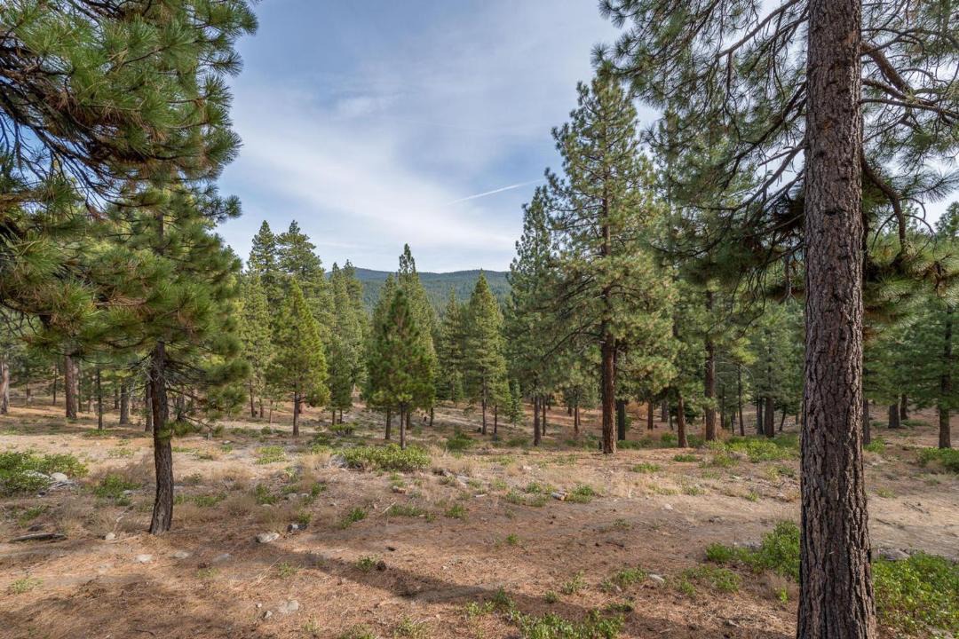 Photo of Outdoor in Truckee