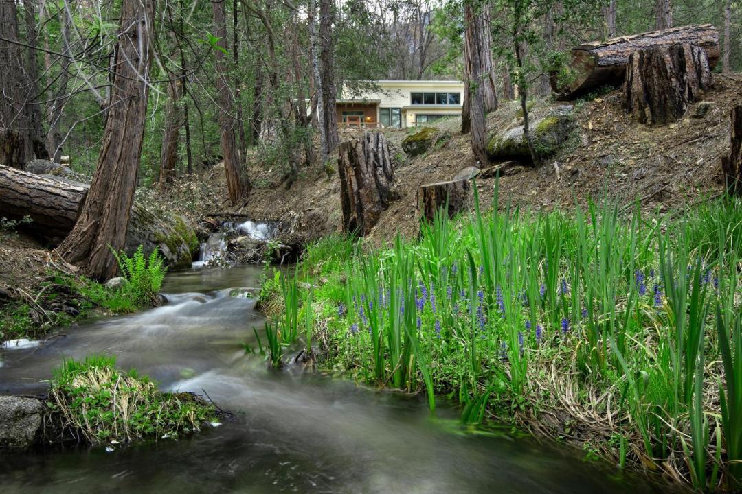 Photo of Others in North Wawona