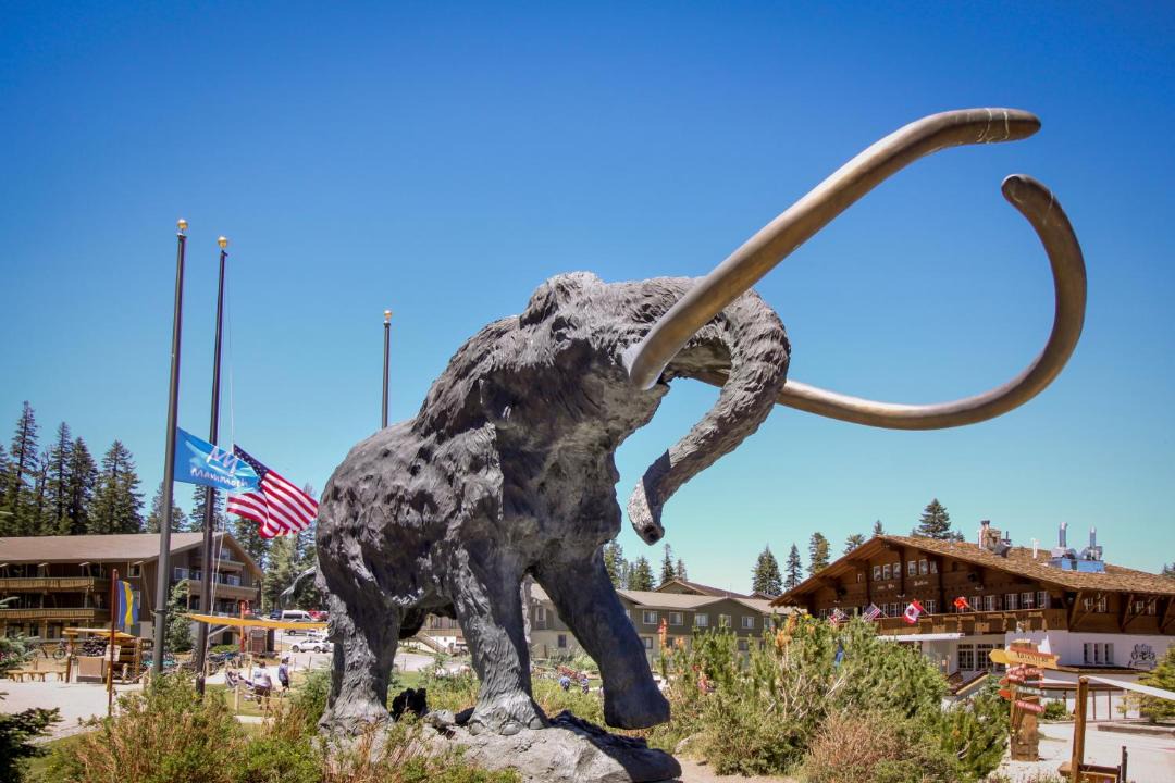 Photo of Others in Mammoth Lakes