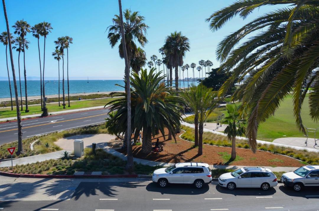 Photo of Others in East Beach