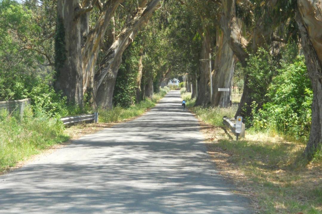 Photo of Others in Pescadero