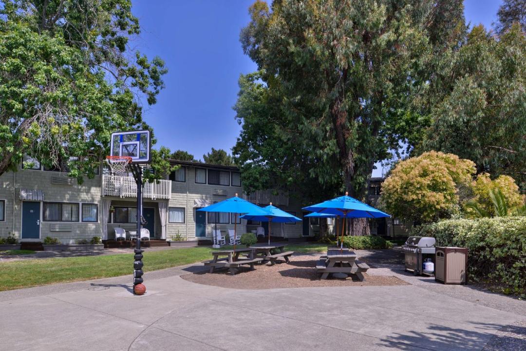Photo of Others in Corte Madera
