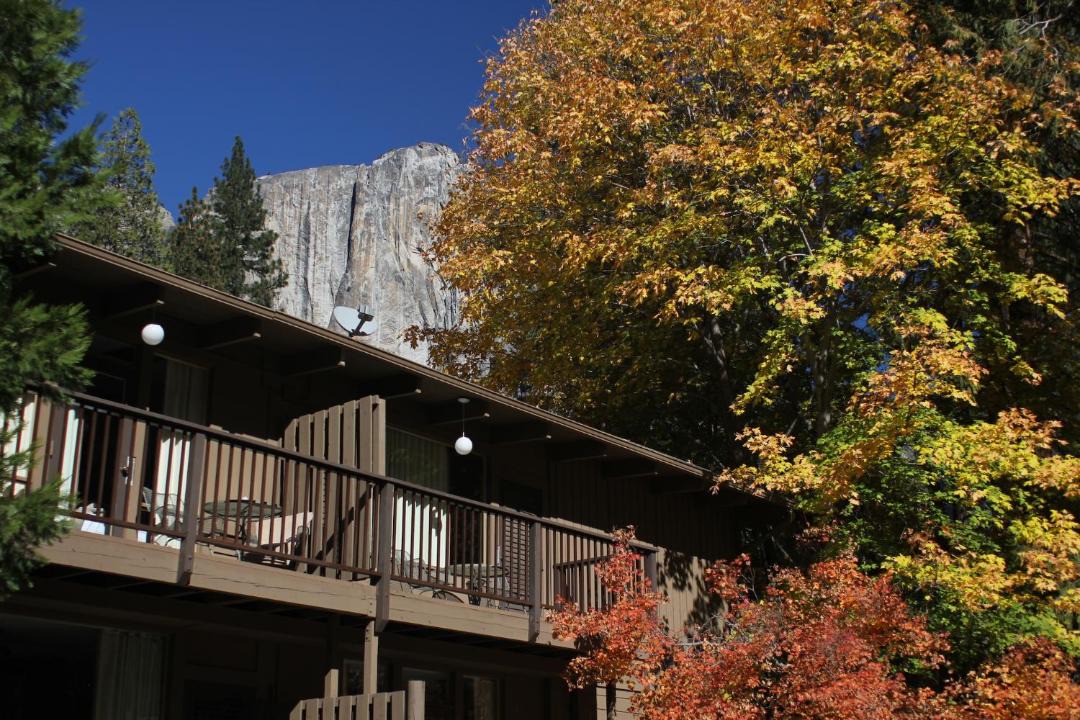 Photo of Others in Yosemite Village
