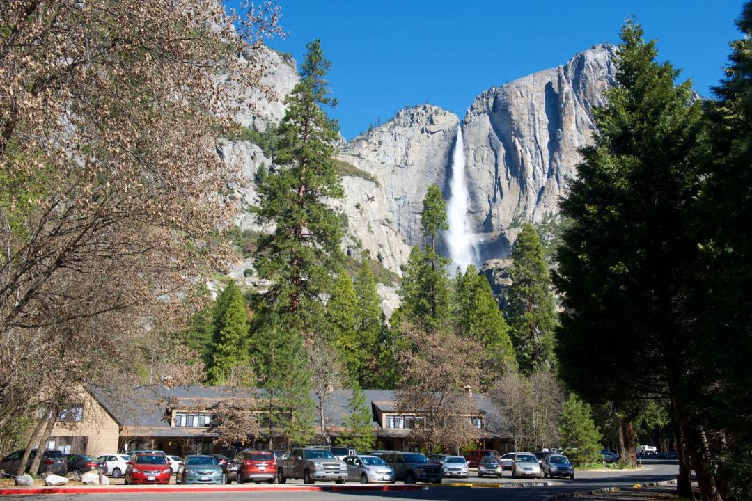 Photo of Others in Yosemite Village