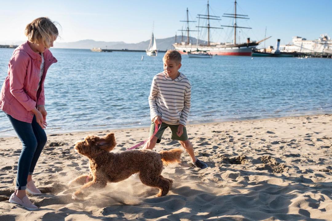 Photo of Others in Fisherman's Wharf