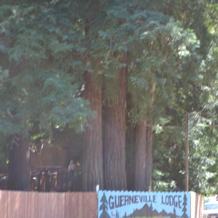 Photo of Others in Guerneville