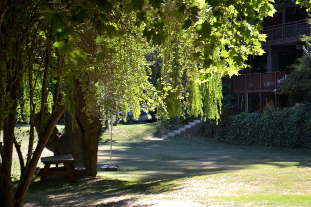 Photo of Others in Guerneville