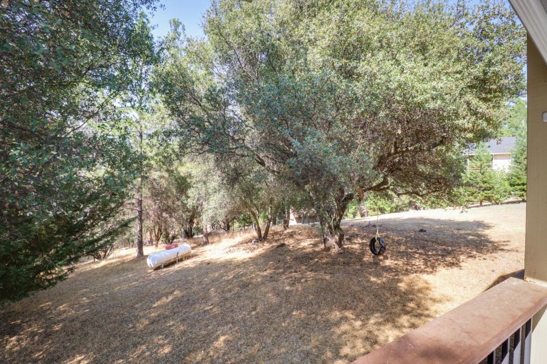 Photo of Others in Groveland