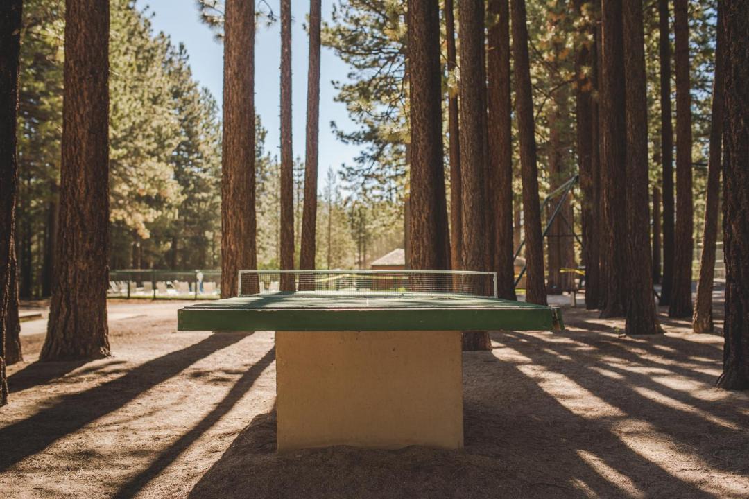 Photo of Others in Tahoe Valley