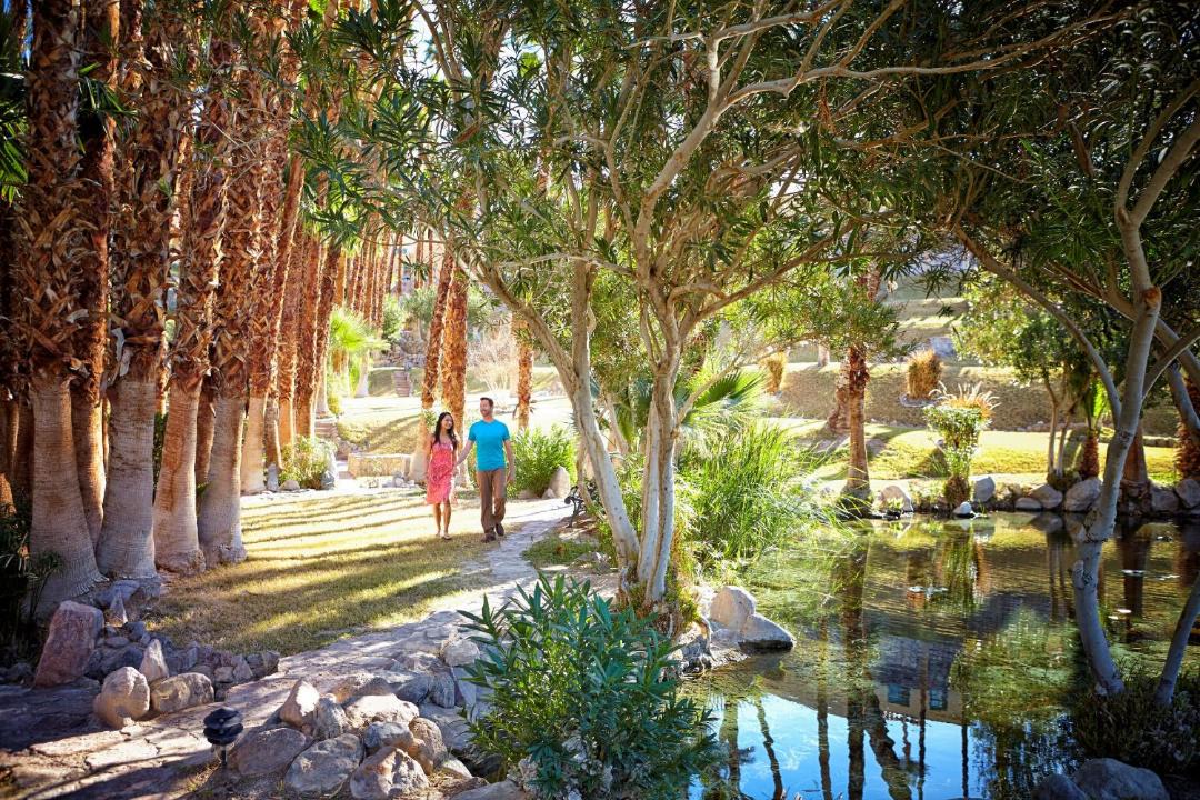 Photo of Others in Furnace Creek