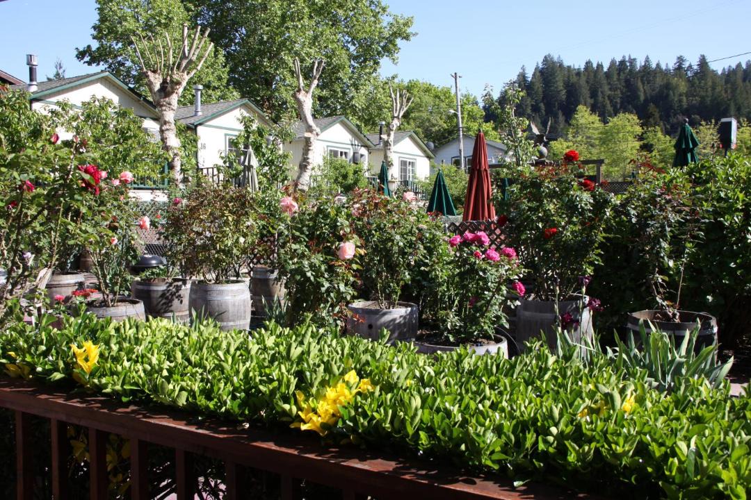 Photo of Others in Guerneville