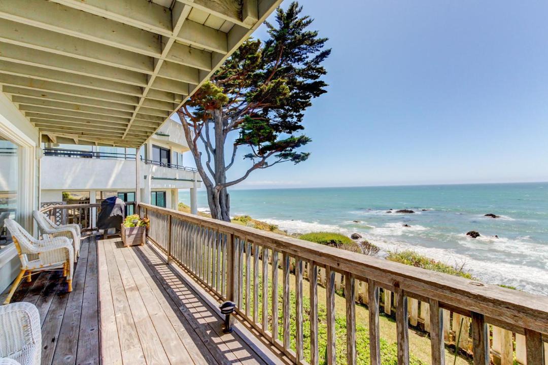 Photo of Others in Cayucos
