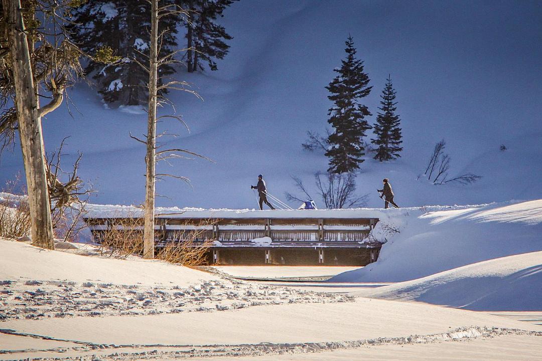 Photo of Others in Mammoth Lakes