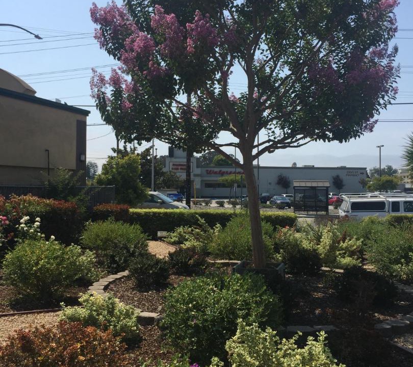Photo of Others in Eastside Santa Cruz
