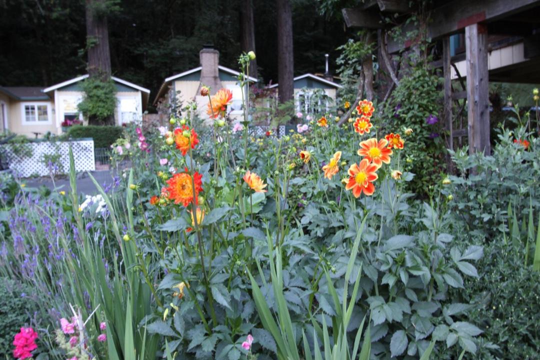 Photo of Others in Guerneville
