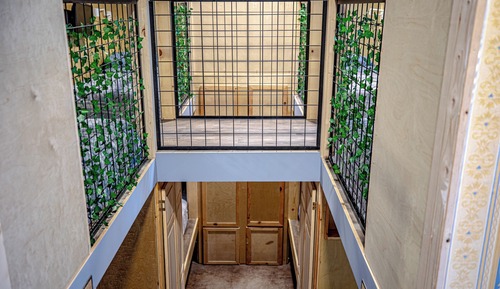 Comfort Shared Dormitory, Mixed Dorm