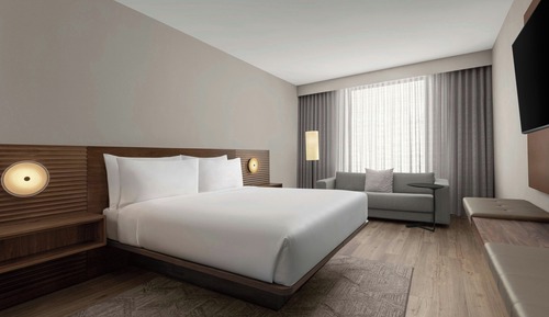 Room, 1 King Bed with Sofa bed, Hearing Accessible