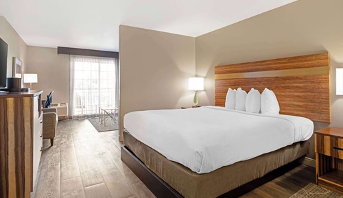 Suite, 1 King Bed, Non Smoking, Refrigerator & Microwave (with Sofabed)