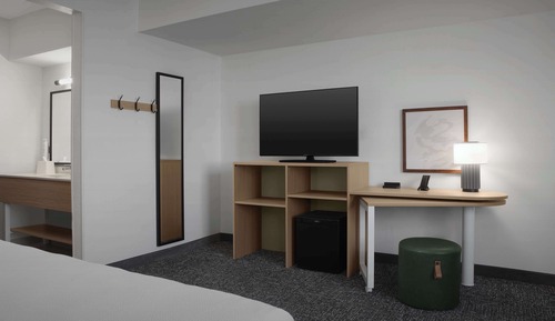 Room, 1 King Bed with Sofa bed