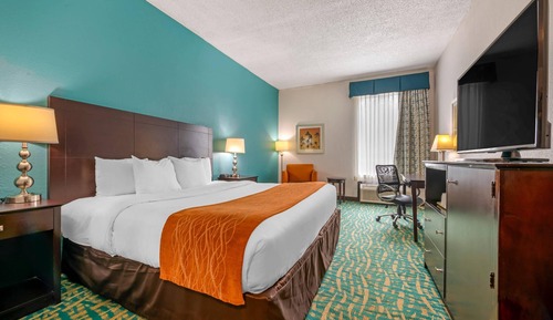 Room, 1 King Bed, Accessible, Non Smoking