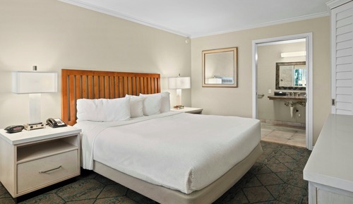 Standard Room, 1 King Bed, Accessible