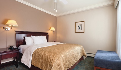 Studio, 1 Queen Bed