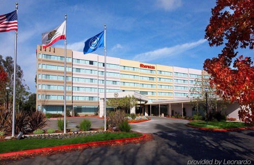 Pleasanton Hotel | AC Hotel by Marriott Pleasanton
