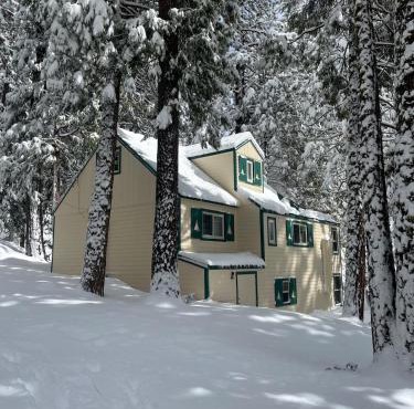 Cabin #5